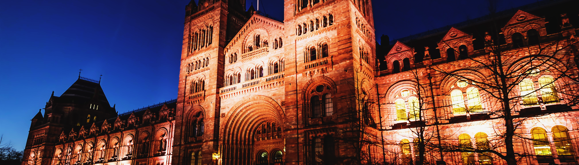 London's Natural History Museum