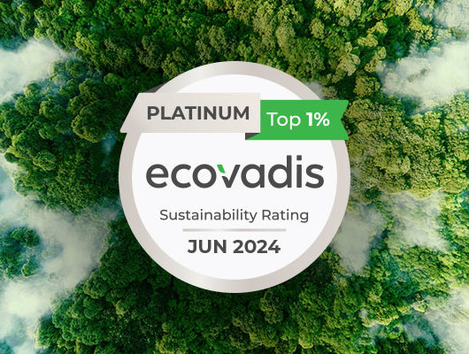 EcoVadis Platinum logo | Risk Evolves goes platinum!